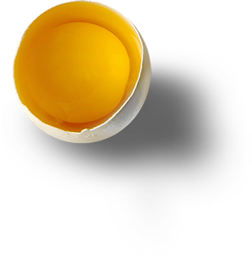 egg