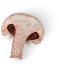 mashroom
